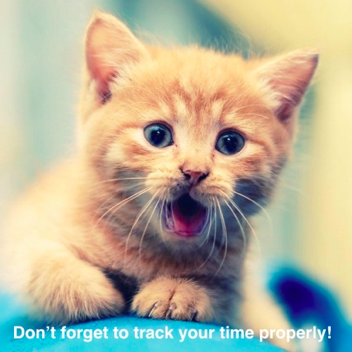 dcaa compliance time tracking cat