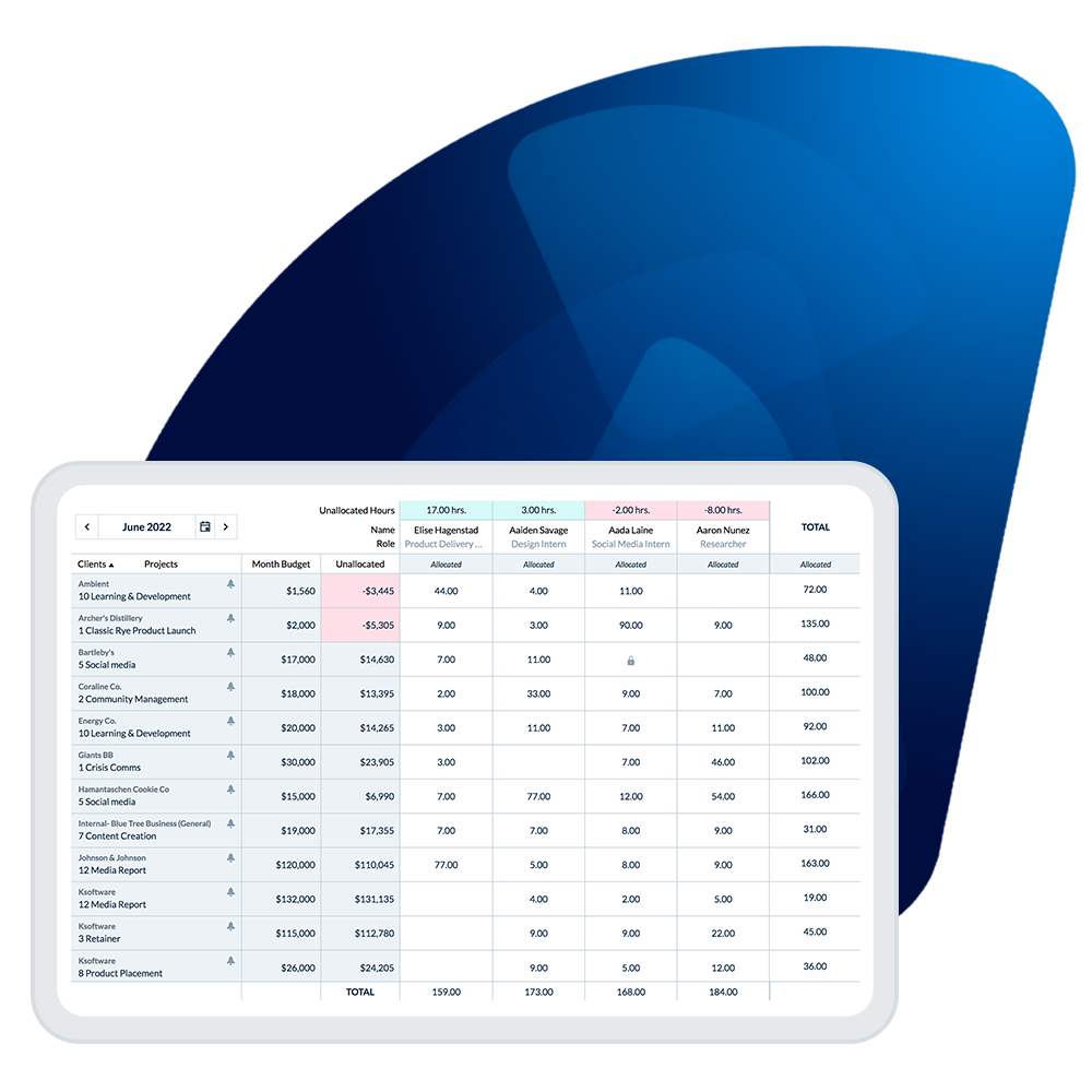 Enterprise Timesheets - time tracking software