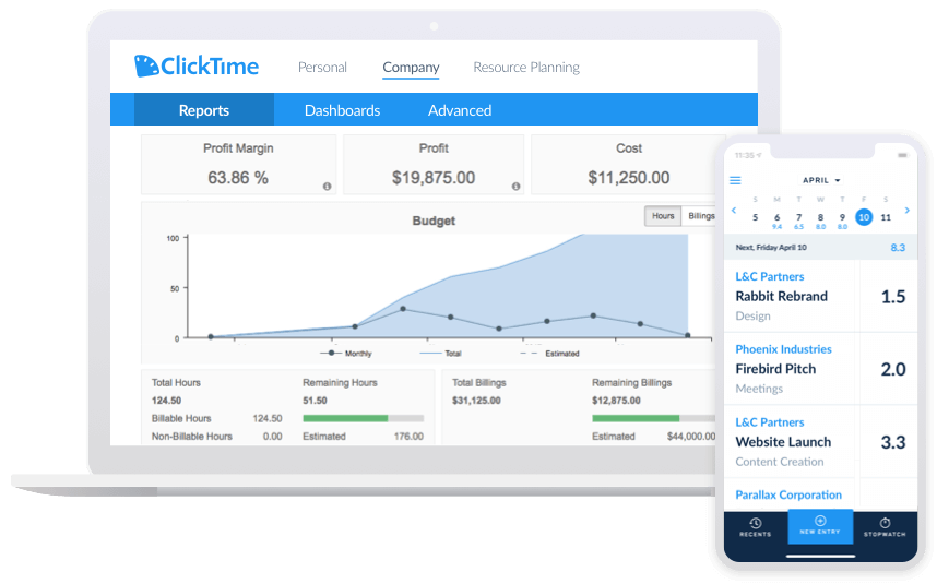 project budgeting - time entry interface and reporting